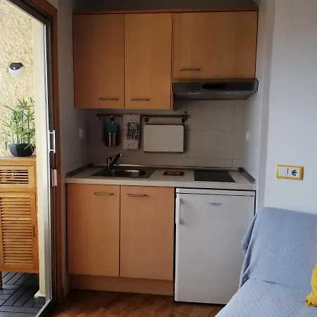 Apartamento-estudio Maite-3 ベナルマデナ